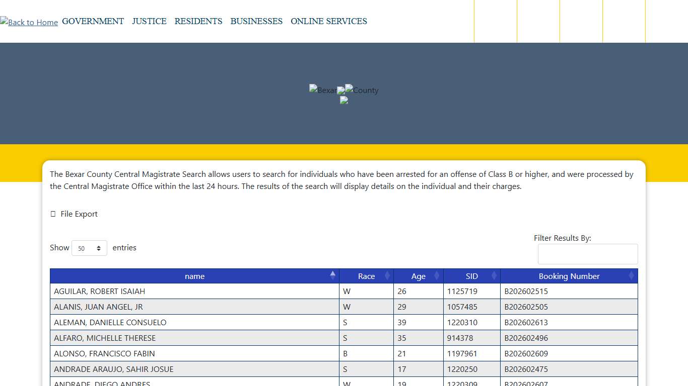 Bexar County Central Magistrate Search